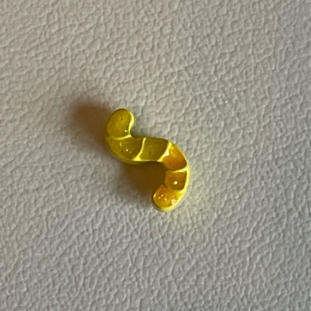 Origami Owl Worm Charm